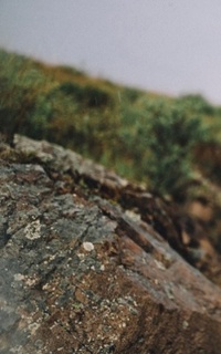 Шлюха Диля 24064