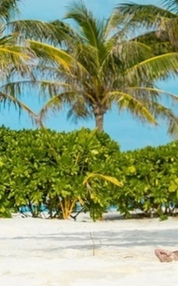 Шлюха Лика 28400