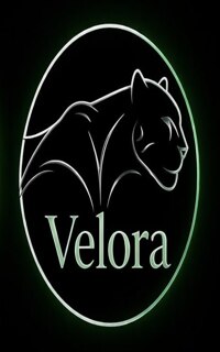 Шлюха Velora 34937