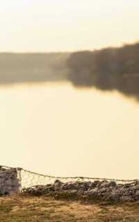 Шлюха Нелли 27145